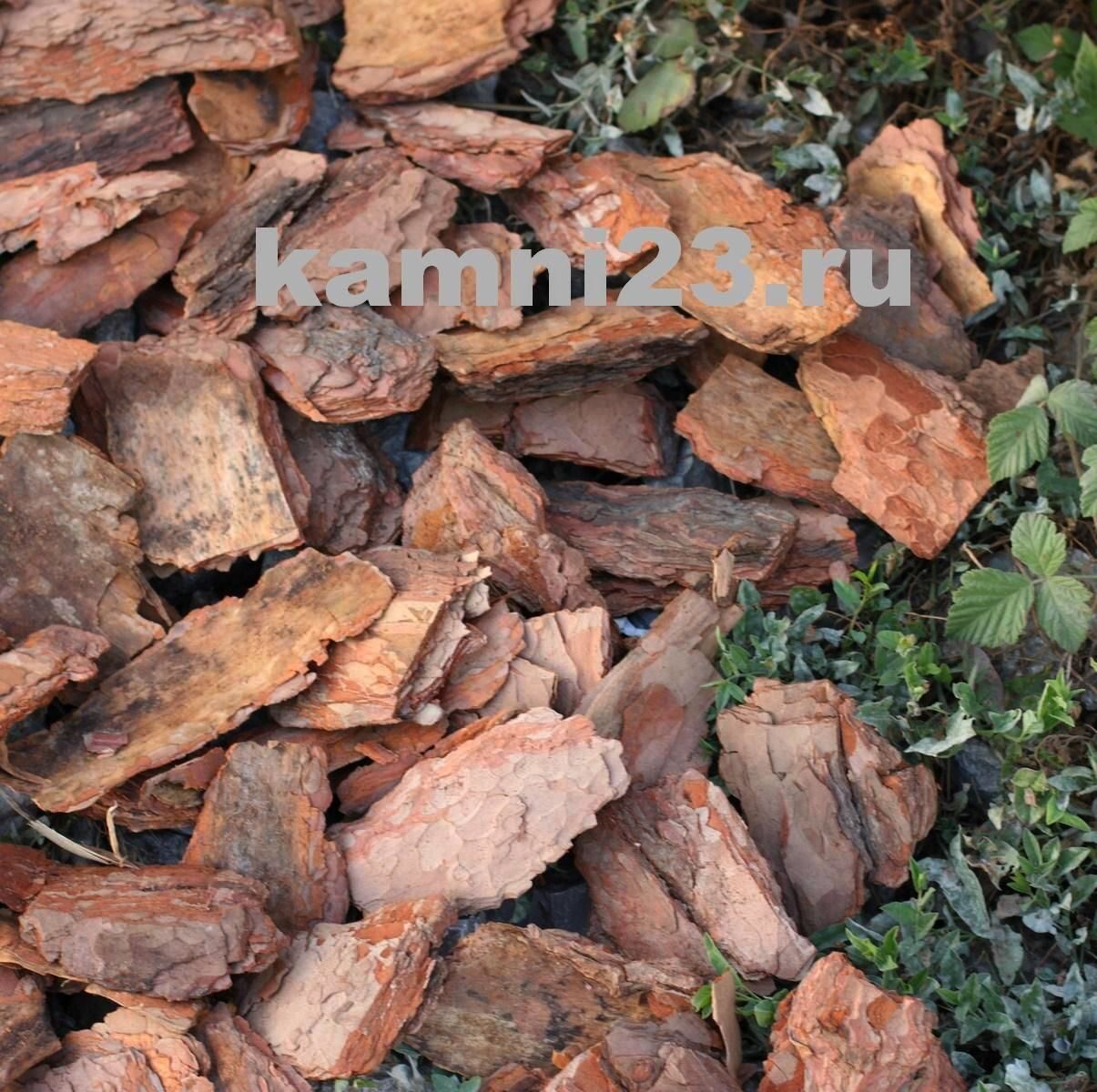 Кора Сосны крупная