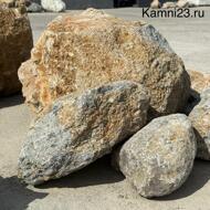 Окол горный серый на вес